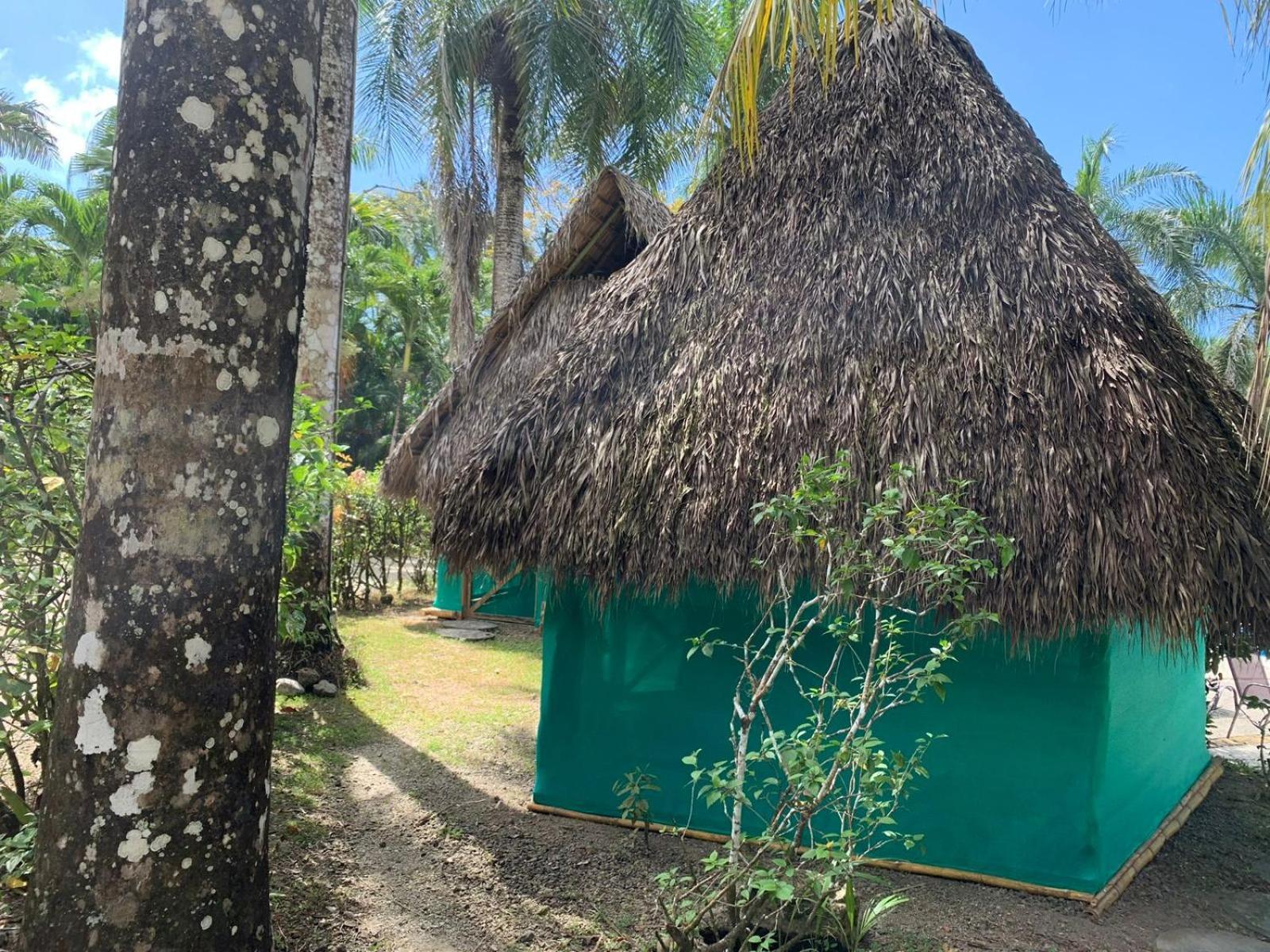 Mal Pais Surf Camp Hotel Playa Santa Teresa  Exterior photo