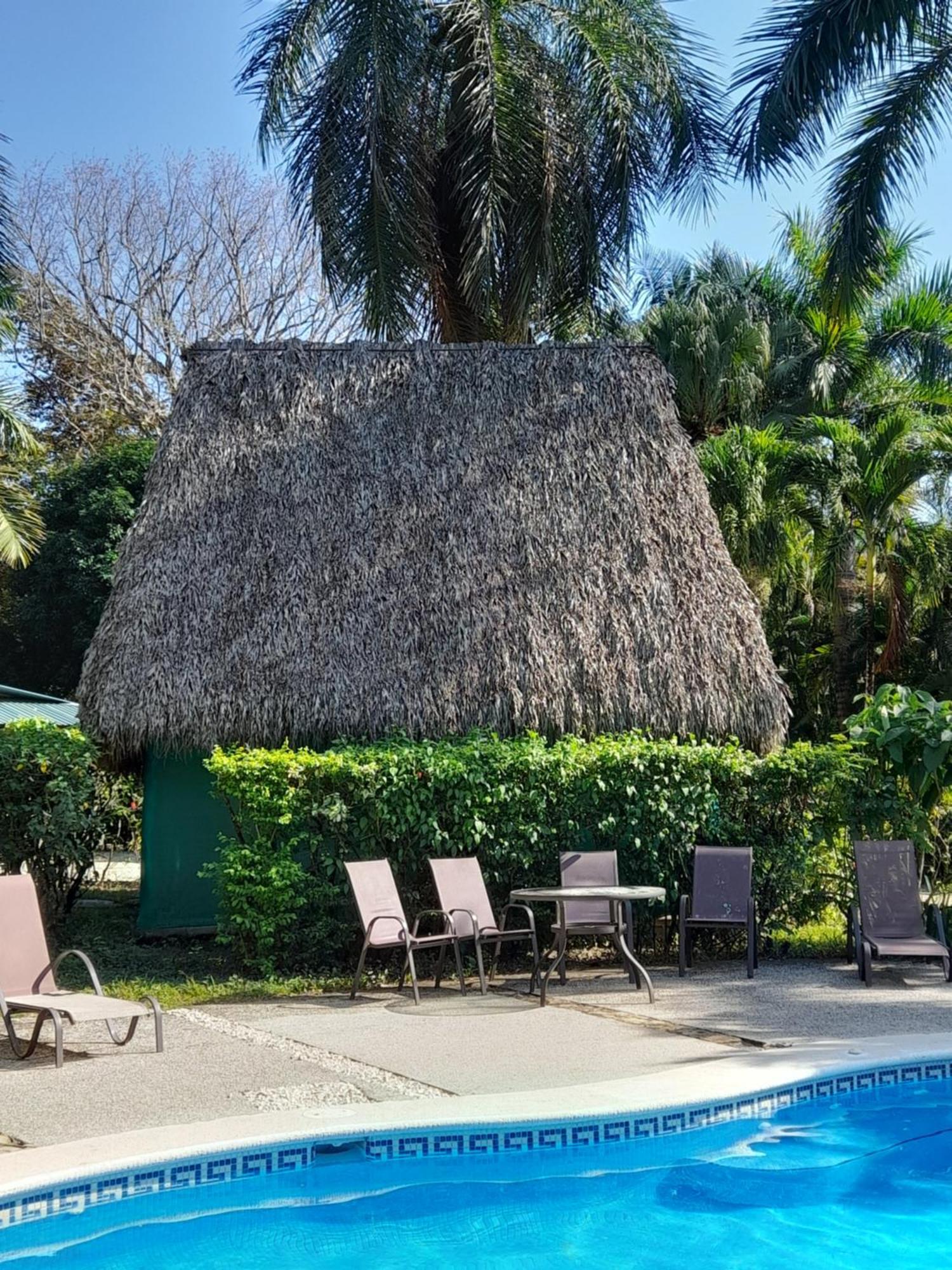Mal Pais Surf Camp Hotel Playa Santa Teresa  Exterior photo