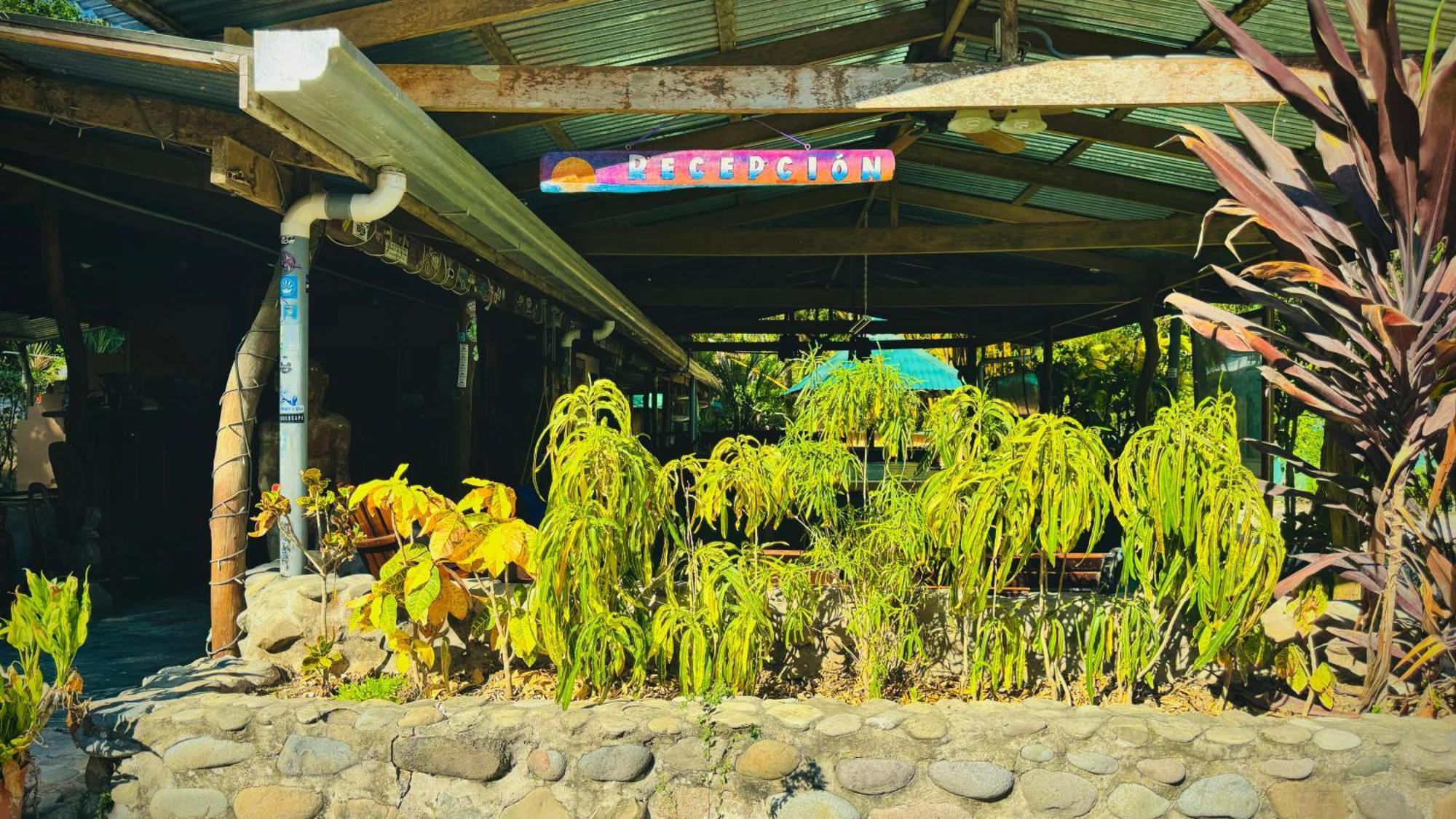 Mal Pais Surf Camp Hotel Playa Santa Teresa  Exterior photo